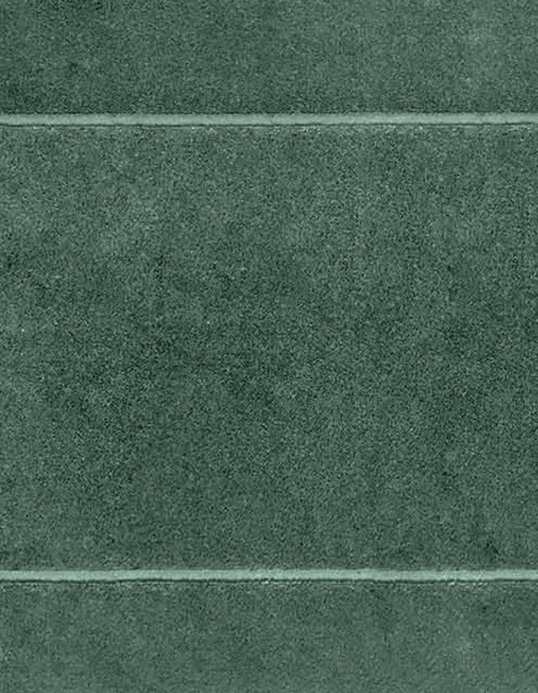 Tapis de bain 60x100cm 1000gr/m² SENSOFT, Tapis de bain