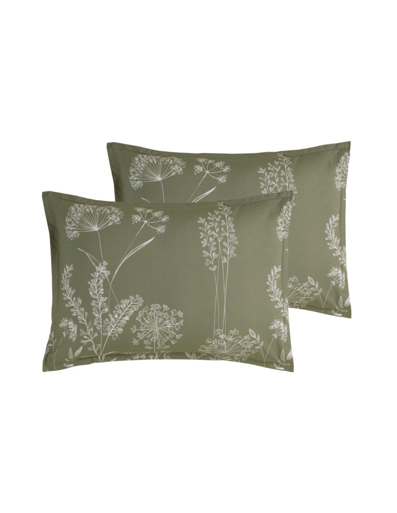 Lot de 2 taies d'oreillers percale MERY