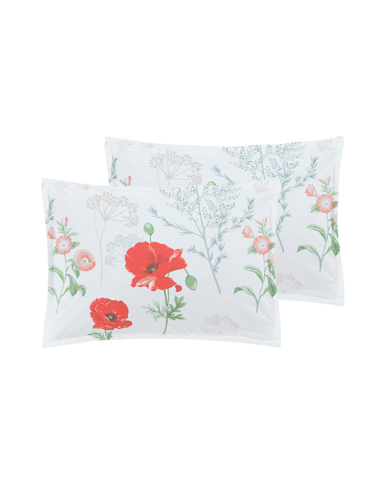 Lot de 2 taies d'oreillers percale...