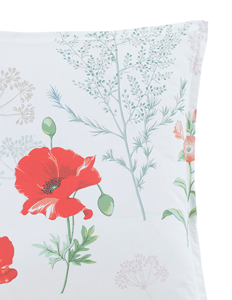 Lot de 2 taies d'oreillers percale...