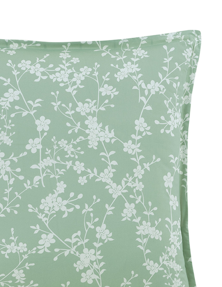 Lot de 2 taies d'oreillers percale MAYA