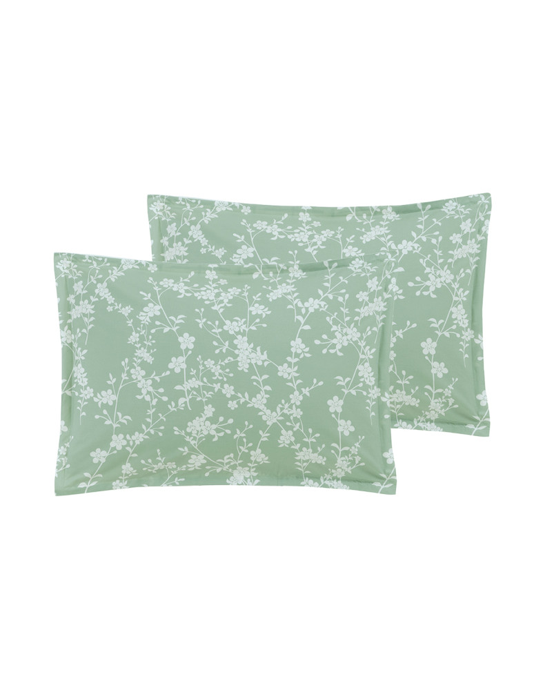 Lot de 2 taies d'oreillers percale MAYA