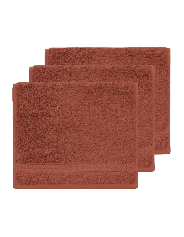 Lot de 3 serviettes invité 550gr/m²...